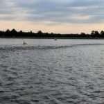 2017 NCS Open Water Zone Team